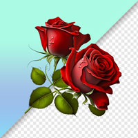 بدون پس زمینه