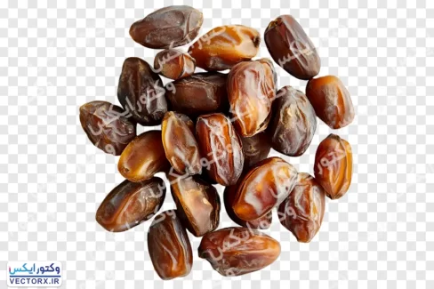 دانلود خرما بدون پس زمینه