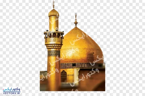 تصویر دوربری حرم امام علی(ع)