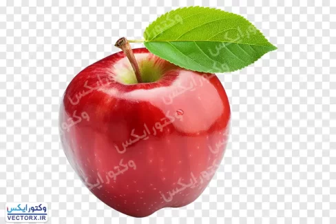 دانلود تصویر سیب قرمز با برگ بدون پس زمینه