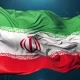 افکت متن جنگلی فتوشاپ