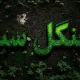 سبد خرید و پرداخت