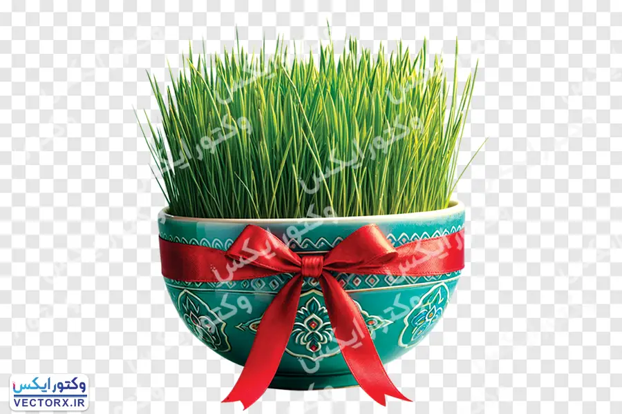 سبزه عید نوروز