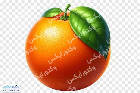 دانلود تصویر پرتقال بدون پس زمینه