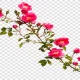 دانلود تصویر بدون پس زمینه فنجان قهوه