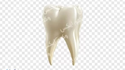 تصویر دندان نیاز به سفیدکاری بدون پس زمینه