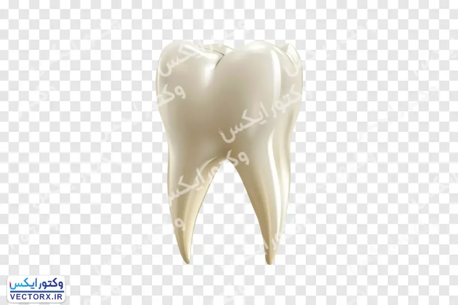 تصویر دندان نیاز به سفیدکاری بدون پس زمینه