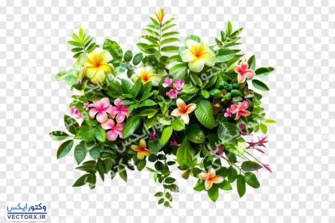 دانلود دسته گل و گیاه استوایی